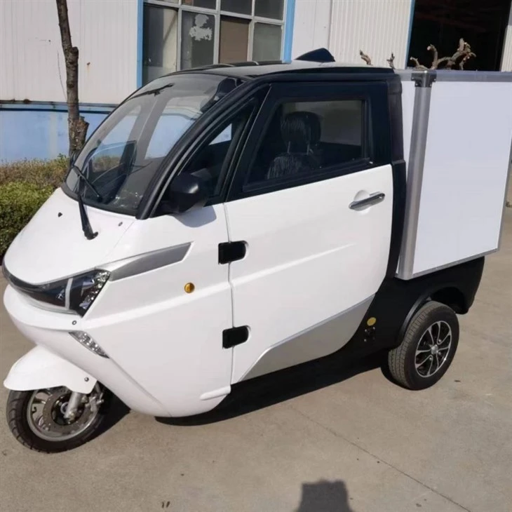 All Weather Closed Tricycle Motorcycle Electric Tricycles Passenger For Adult With Folding Cargo Box