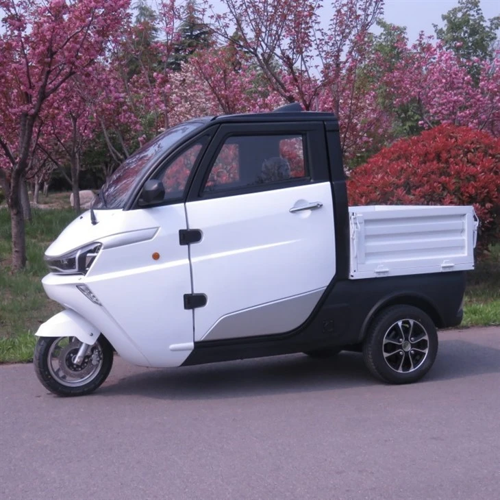 All Weather Closed Tricycle Motorcycle Electric Tricycles Passenger For Adult With Folding Cargo Box