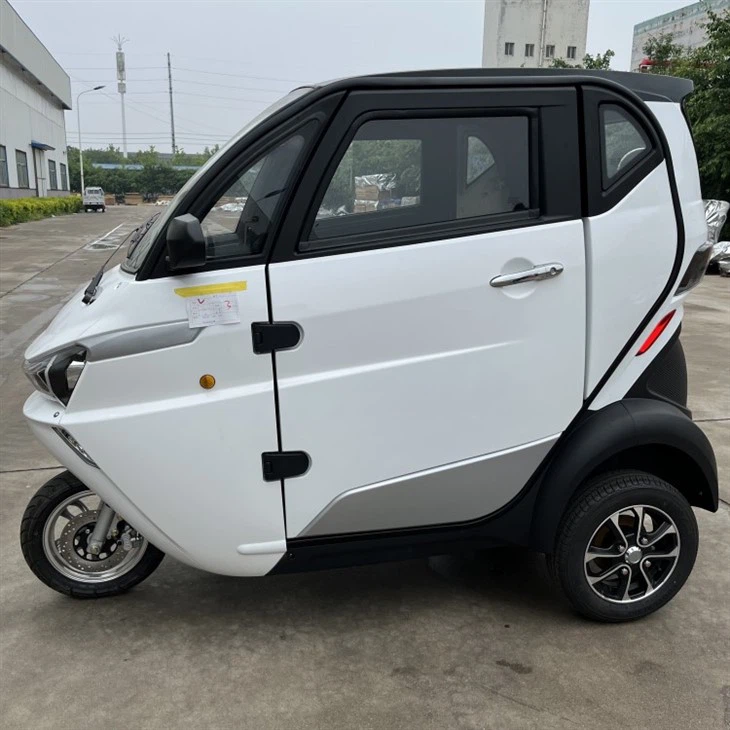 Elektrinis paspirtukas Trike 3 ratų triratis motociklas