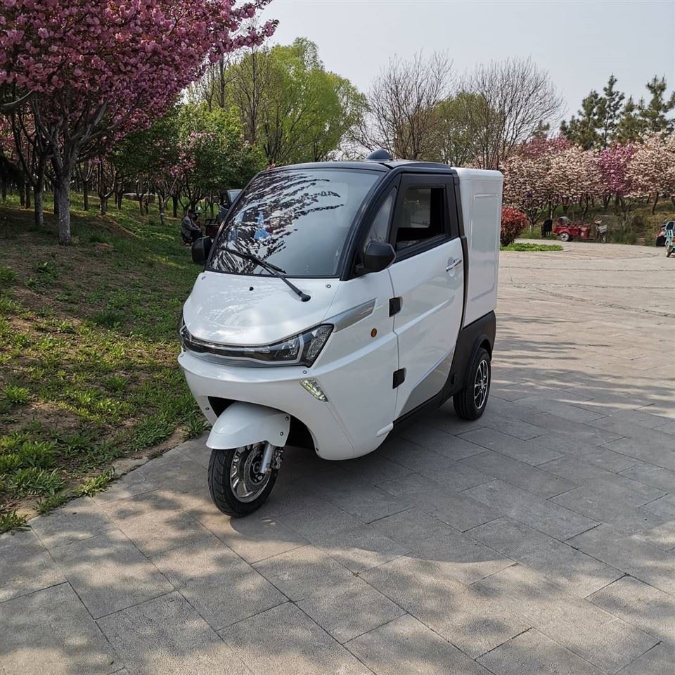 Runhorse EEC L5e elektrinis mini mobilus krovininis sunkvežimis su furgono dėže
